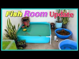 Fish Room Tour With Some Good & Bad News || Aquarium and Pets Tour