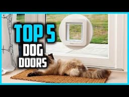 ✅Top 5 Best Dog Doors in 2025