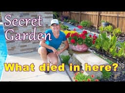 Secret Garden Changes | Dead Plants & New Additions to the Garden