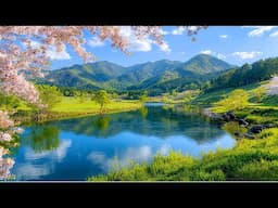 Relaxing Music - Stress Healing Music, Soft Tunes for Deep Sleep  🌿 Peaceful Sleep Music