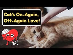 Am I Being Ignored? Why Your Cat Only Wants You Sometimes