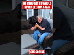 Cane Corso Never Thought He Would See Him Again ♥ #shorts #canecorso #dog