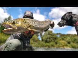 Catching a Huge Brown Trout… While My Dog Causes Absolute Mayhem