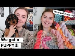 Ep. #26: a very special guest 🐶, new collection and I’m testknitting?!?! | TMC podcast