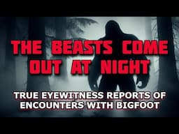 THE BEASTS COME OUT AT NIGHT:  TRUE EYEWITNESS REPORTS OF ENCOUNTERS WITH BIGFOOT