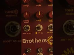 Brothers AM #guitar #pedal