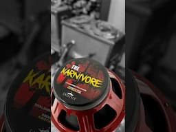 Hardcore Reamping! (feat. the KARNIVORE)