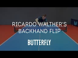How To Backhand Flick Like Ricardo Walther | Butterfly Pro