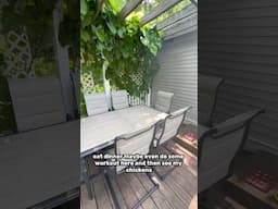 I impulse bought an outdoor furniture set