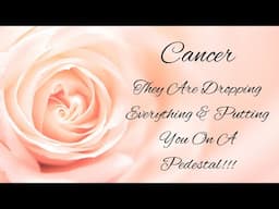 CANCER💖They Are Dropping Everything & Putting You On A Pedestal!!!