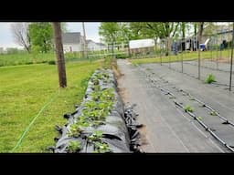 Saturday Garden Walk Through - April 19, 2025
