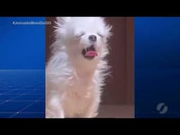 Momento descontração