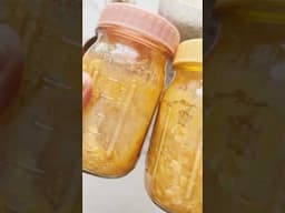 Workweek Lunch Meal Planner - Pumpkin Spice Overnight Oats