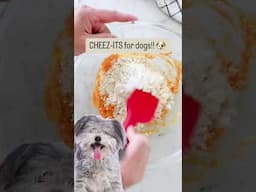 Cheez-Its for Dogs!! #dogtreatrecipe #dogtreats