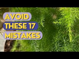 Asparagus Dying | 17 Reasons You Need to Know