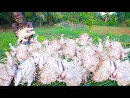 DELICIOUS THAILAND STYLE STICK CHICKEN TANDOORI | VILLAGE GRANDPA SHOW