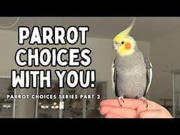 Pet Bird Choices - Giving Your Parrot Options With You | Choices Series Part 2 | TheParrotTeacher