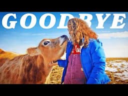 Getting Rid of ALL Of Our Farm Animals (almost). Why?