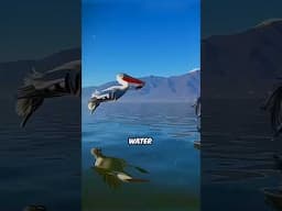 This BIRD will Eat your dog!!  #jailbreakoverlander #myanimal
