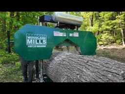 811 Big Pine on Woodland Mills HM126 Portable Mill.  4K