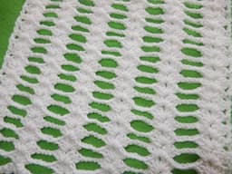 Open Shell Mesh Crochet Stitch