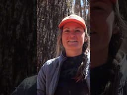 Why Were You Walking Barefoot? Appalachian Trail 2024 #at2024