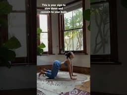 Take a moment to breath and slow down 🤍 #yogaflow #yogapractice #yoga