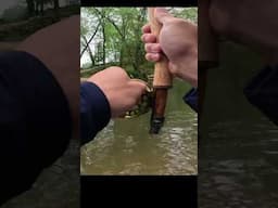 Fly Fishing for Big 4 pound Trout!#Jesus #GrayGang