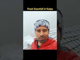 Fresh Snowstorm in Himachal I Spiti diaries I #shorts