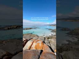 this is your sign to book a trip to Tasmania; Bay of Fires, Tasmania, Australia #australia #tasmania