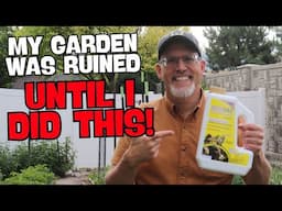 How I Got Rid of Voles in My Garden