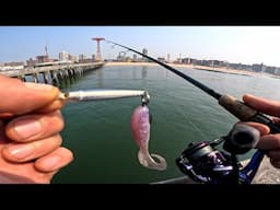 Fluke Fishing NYC With A Minnow Lure