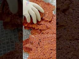 Taste of Korea! Kimchi-Flavored Seasoning Mass Production Factory