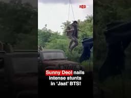 Sunny Deol nails intense stunts in Jaat BTS! #sunnydeol #jaat #bollywood #bts #behindthescene