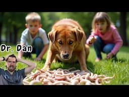 Can you get worms from your Dog?!  3 Steps to help stop the worm spread.