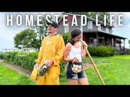 Success Is In The Small Things: How We’re Building a Life Off The Land