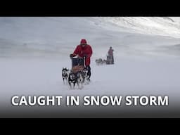 Snow Storm Hits on Day 3 | Sled Dogs & Mountains at the Gate of Sarek