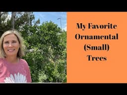 My Favorite Ornamental (Small) Trees