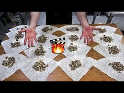 Hunter’s Börek Recipe | How to Make This Crispy Turkish Meat Pastry