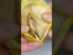 Why I gave a mango a bath