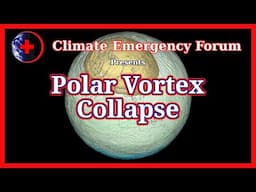 Polar Vortex Collapse