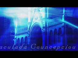 Holy Rosary From Lourdes - 2025-05-07