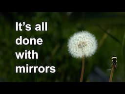 Macro Outside