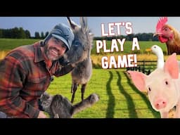 Help Farmer Jason Find The Animals 🐷