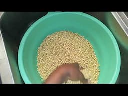 HOW TO MAKE HEALTHY SOYBEANS MILK.