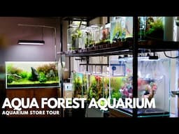 Aqua Forest Aquarium - Store Tour