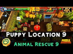 Puppy Location 9 | Animal Rescue 9 | Puzzle Adventure