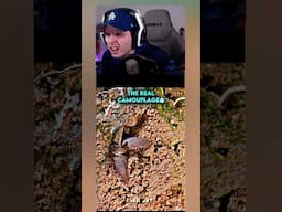 EL MEJOR CAMUFLAJE 💥
