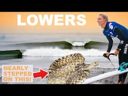 Firing LOWERS & X-Large SNAKE encounter!