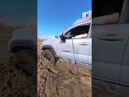 A trip down memory lane ￼
